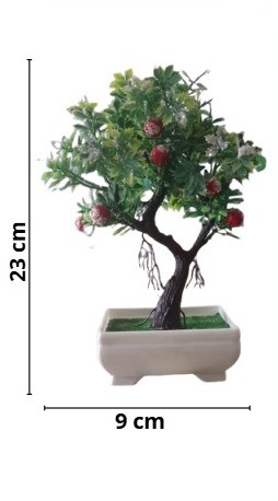 BONSAI DE NATAL